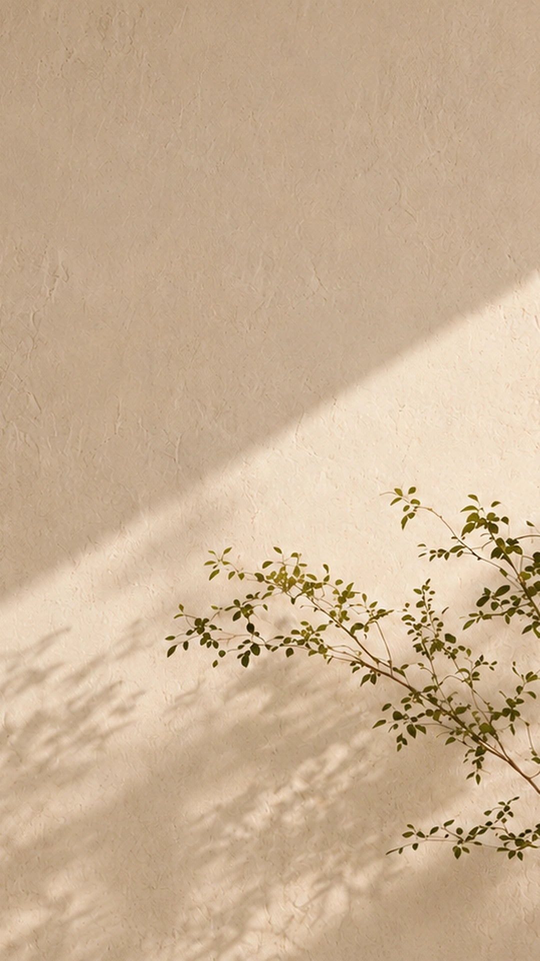 Tree branch with green leaves against a beige wall with shadow