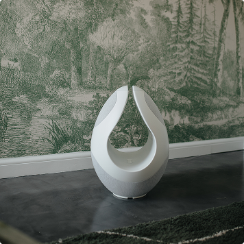 Pantheone I luxury speaker on a wallpaper background  