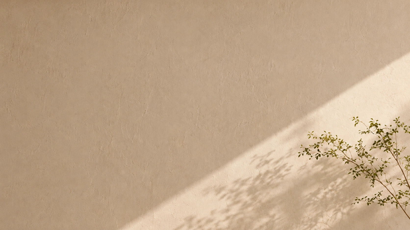Beige wall with a branch casting a shadow