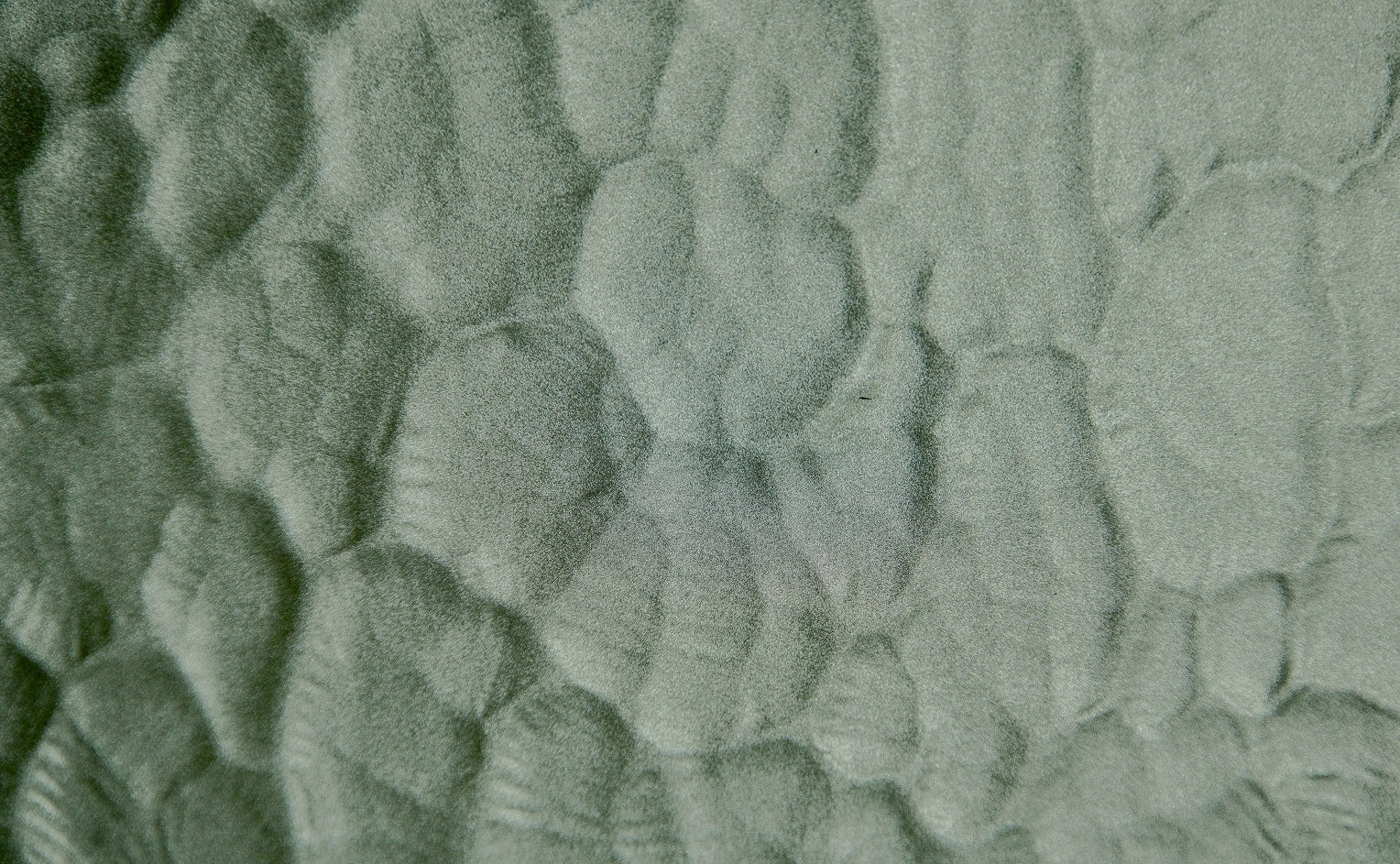 Textured green surface with wavy pattern